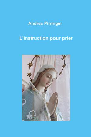Cover of the book L'instruction pour prier by Carola van Daxx
