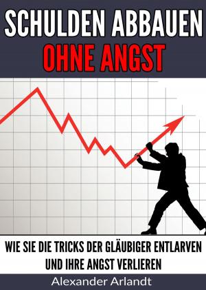 Cover of the book Schulden abbauen ohne Angst by Günter Opitz-Ohlsen