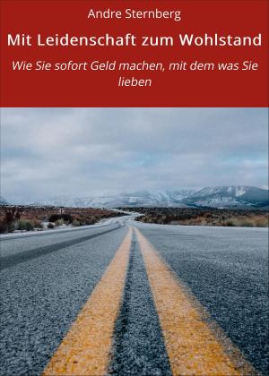 Cover of the book Mit Leidenschaft zum Wohlstand by Hubert Wiest