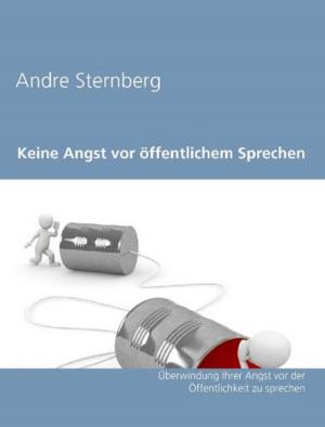 Cover of the book Keine Angst vor öffentlichem Sprechen by Andre Sternberg