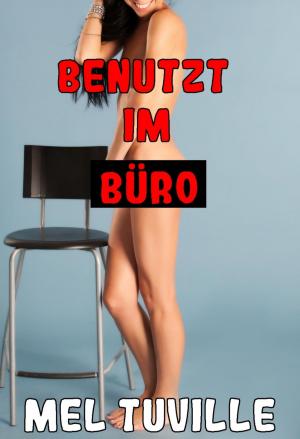 Cover of the book Benutzt im Büro by Emma Flood