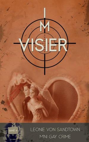 Cover of the book Im Visier by Dimpra Kaleem