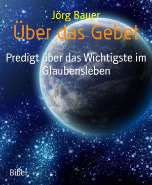 Cover of the book Über das Gebet by Kim Rylee