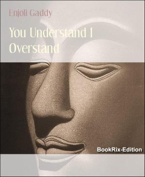 Cover of the book You Understand I Overstand by Alexis Debary