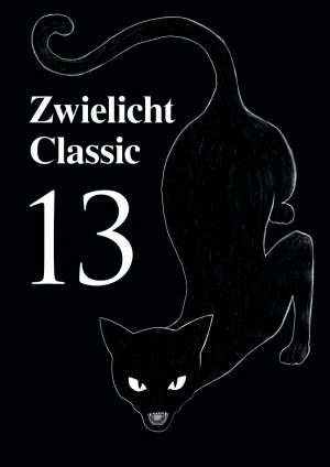 Cover of the book Zwielicht Classic 13 by Rainer Nahrendorf
