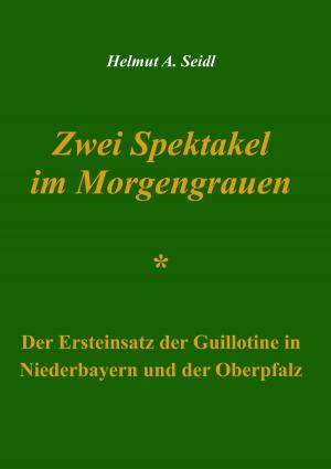 Cover of the book Zwei Spektakel im Morgengrauen by Mel Schoen
