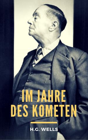 Cover of the book Im Jahre des Kometen by Christoph Däppen