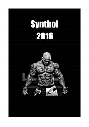 Cover of the book Synthol 2016 by Jutta Schütz