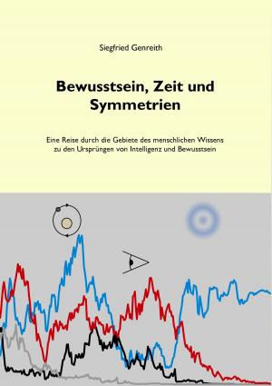 Cover of the book Bewusstsein, Zeit und Symmetrien by Frank Weber