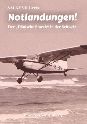 Cover of the book SAI KZ VII Laerke - Notlandungen! by Stephan Rehfeldt