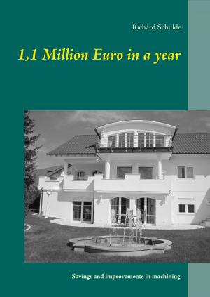 Cover of the book 1,1 Million Euro in a year by Maria Ove