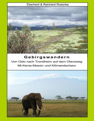 Book cover of Gebirgswandern