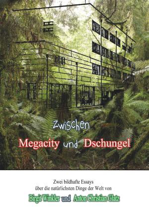 Cover of the book Zwischen Megacity und Dschungel by Moore Healing Association