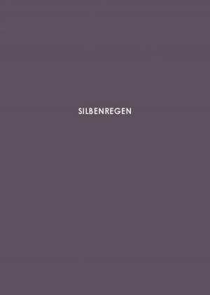 Cover of the book Silbenregen by Augsburger Allgemeine