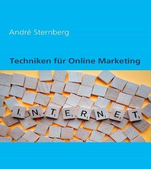 Cover of the book Techniken für Online Marketing by Brigitte Krächan