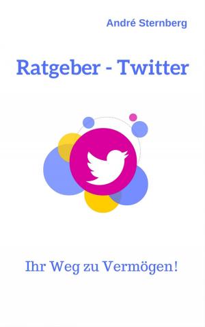 Cover of the book Ratgeber - Twitter by Richard Grünenfelder