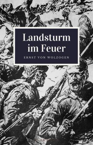 Book cover of Landsturm im Feuer