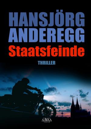 Cover of the book Staatsfeinde by Hansjörg Anderegg
