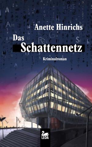 bigCover of the book Das Schattennetz: Ein Fall für Malin Brodersen. Hamburg Krimi by 