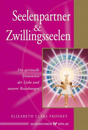 Cover of the book Seelenpartner & Zwillingsseelen by Jessica Lütge