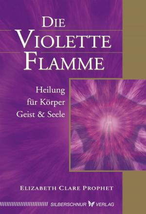 Book cover of Die violette Flamme