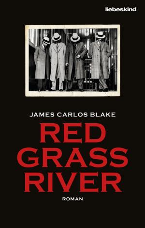 Cover of the book Red Grass River by Adelle Waldman
