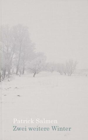 Cover of Zwei weitere Winter