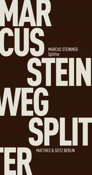 Cover of the book Splitter by Jürgen Brôcan