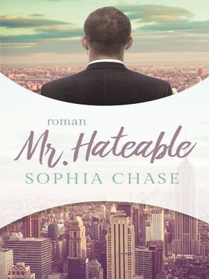 Book cover of Mr. Hateable