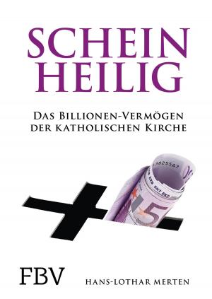 Cover of the book Scheinheilig by Rolf Morrien, Judith Engst