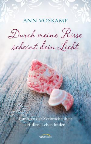 Cover of the book Durch meine Risse scheint dein Licht by Emily Ackerman