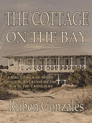 Cover of the book The Cottage on the Bay by Tony Nwoye