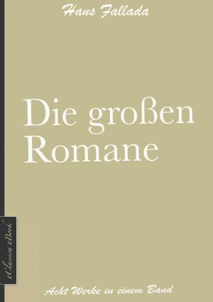 Cover of the book Hans Fallada: Die großen Romane by Max Weber