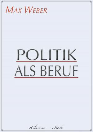 Cover of the book Politik als Beruf by Ricarda Huch
