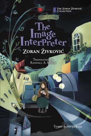 Book cover of The Image Interpreter