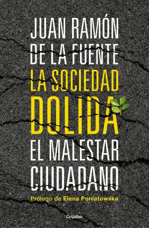 Cover of the book La sociedad dolida by Rius