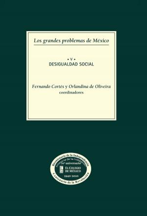 Cover of the book Los grandes problemas de México. Desigualdad social. T-V by Antonio Patricio López