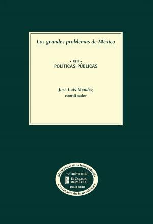 Cover of the book Los grandes problemas de México. Políticas públicas. T-XIII by Adrián Muñoz