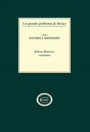 Cover of the book Los grandes problemas de México. Culturas e indentidades. T-XVI by Rebeca Barriga Villanueva