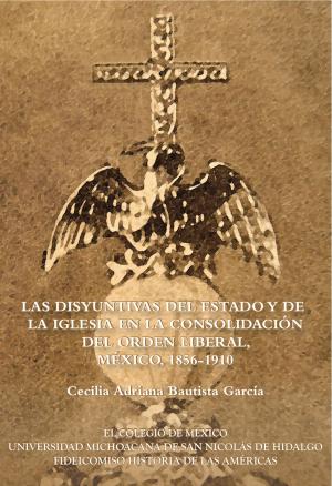 Cover of the book Las disyuntivas del Estado y de la Iglesia en la consolidación del orden liberal by José Luis Lezama, Boris Graizbord
