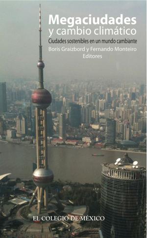 Book cover of Megaciudades y cambio climático.