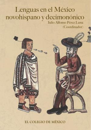 Cover of the book Lenguas en el México novohispano y decimonónico by José Antonio Piqueras