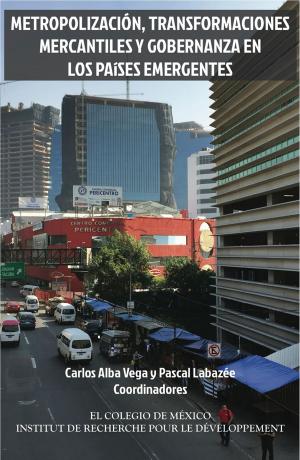 Cover of the book Metropolización, transformaciones mercantiles y gobernanza en los países emergentes. by Javier Arteaga Pérez, Viviane Brachet-Márquez