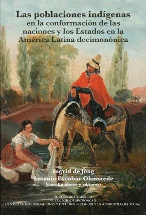 Cover of the book Las poblaciones indígenas en la conformación de las naciones y los estados en la América Latina decimonónica by Pablo Alabarces