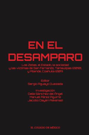 Cover of the book En el desamparo by Rebeca Barriga Villanueva, Pedro Martín Butragueño