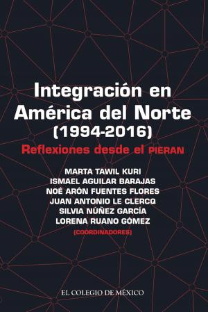 Cover of the book Integración en América del Norte (1994-2016) by Rebeca Barriga Villanueva, Pedro Martín Butragueño