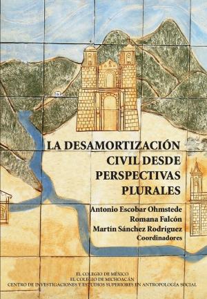 Cover of the book La desamortización civil desde perspectivas plurales by Marta Tawil Kuri