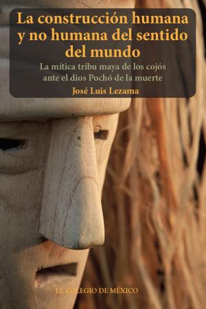 Cover of the book La construcción humana y no humana del sentido del mundo by Marta Tawil Kuri