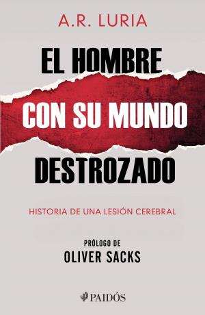 Book cover of El hombre con su mundo destrozado