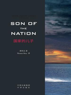 Cover of the book Son of the Nation by Rodney St Clair Ballenden